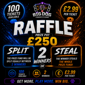 WOULD YOU SPLIT OR STEAL £250?