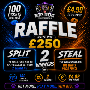 WOULD YOU SPLIT OR STEAL £250?