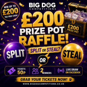£200 PRIZE POT – SPLIT OR STEAL!